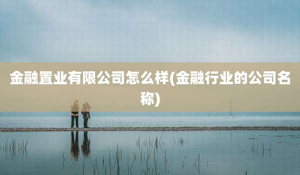 金融置业有限公司怎么样(金融行业的公司名称)