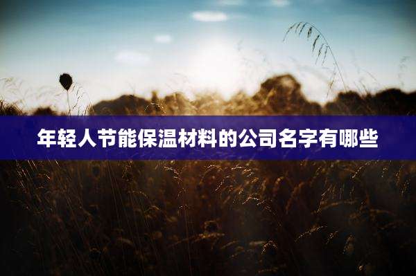 年轻人节能保温材料的公司名字有哪些
