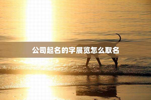 公司起名的字展览怎么取名