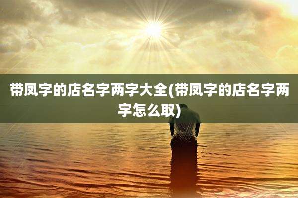 带凤字的店名字两字大全(带凤字的店名字两字怎么取)