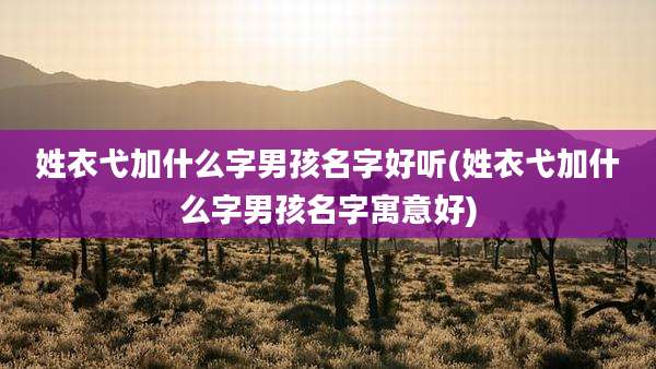 姓衣弋加什么字男孩名字好听(姓衣弋加什么字男孩名字寓意好)