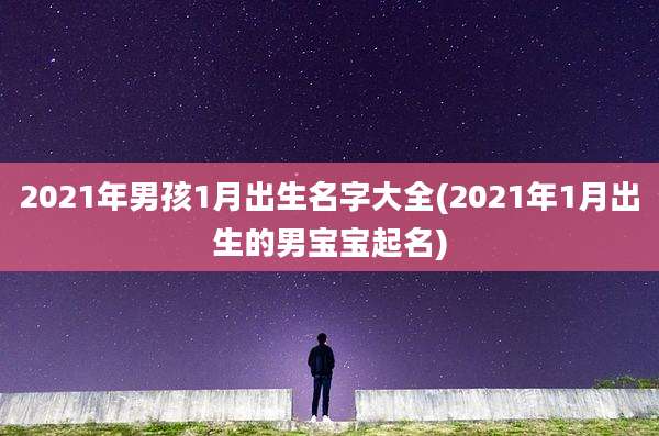 2021年男孩1月出生名字大全(2021年1月出生的男宝宝起名)