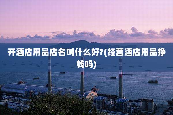开酒店用品店名叫什么好?(经营酒店用品挣钱吗)