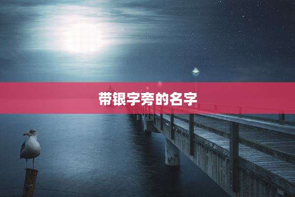 带银字旁的名字
