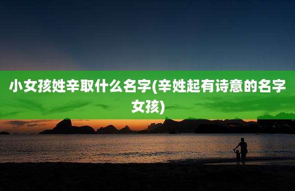 小女孩姓辛取什么名字(辛姓起有诗意的名字女孩)