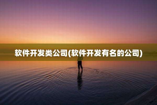 软件开发类公司(软件开发有名的公司)