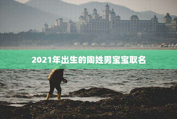 2021年出生的陶姓男宝宝取名
