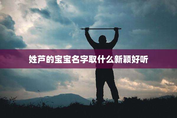 姓芦的宝宝名字取什么新颖好听