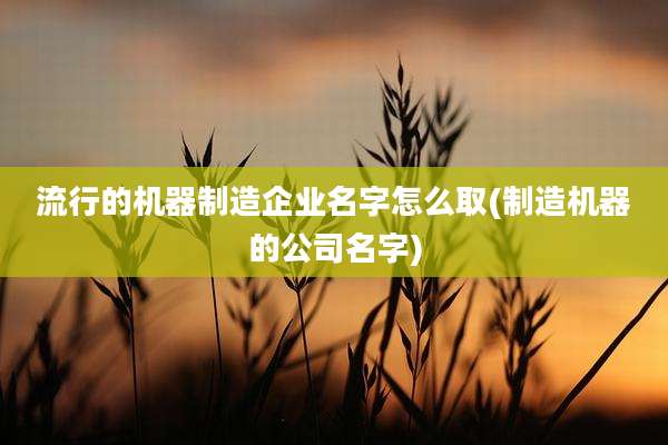 流行的机器制造企业名字怎么取(制造机器的公司名字)