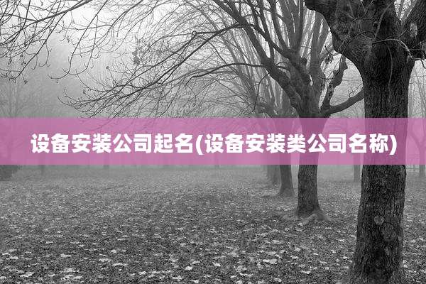 设备安装公司起名(设备安装类公司名称)