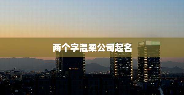 两个字温柔公司起名