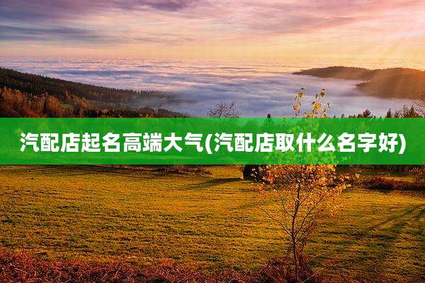 汽配店起名高端大气(汽配店取什么名字好)