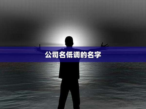 公司名低调的名字