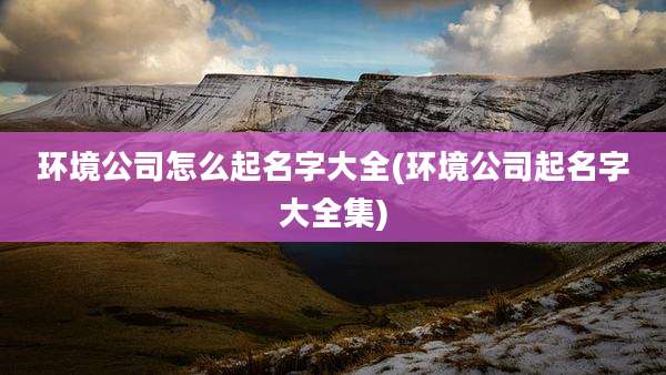 环境公司怎么起名字大全(环境公司起名字大全集)