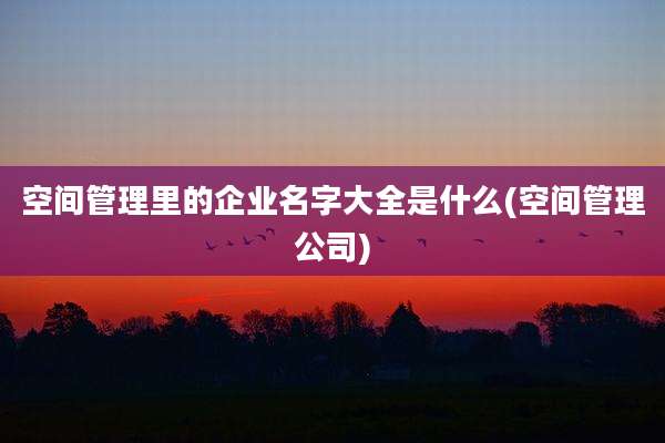 空间管理里的企业名字大全是什么(空间管理公司)