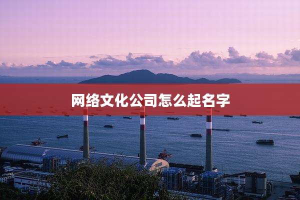 网络文化公司怎么起名字