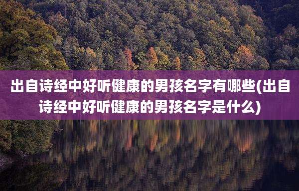 出自诗经中好听健康的男孩名字有哪些(出自诗经中好听健康的男孩名字是什么)