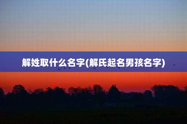 解姓取什么名字(解氏起名男孩名字)