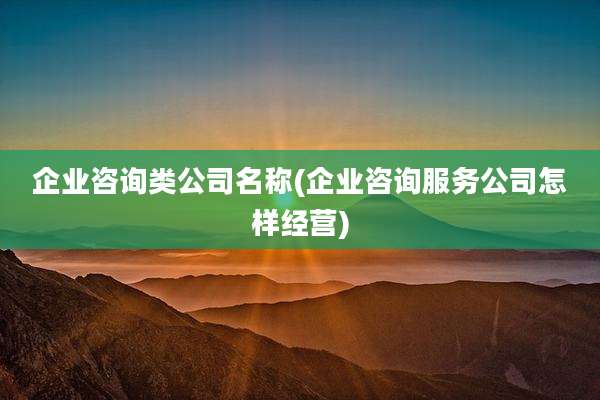 企业咨询类公司名称(企业咨询服务公司怎样经营)