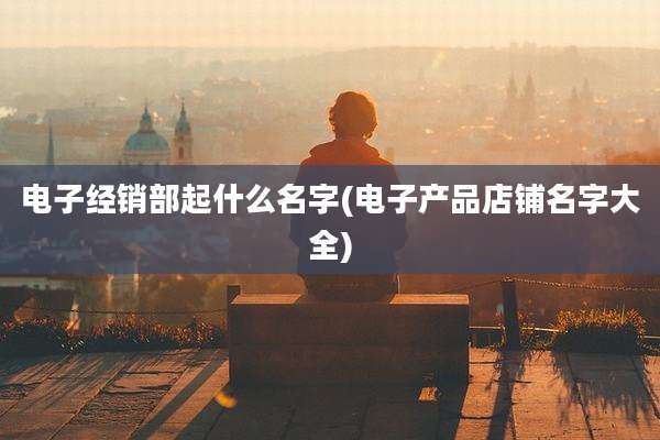 电子经销部起什么名字(电子产品店铺名字大全)
