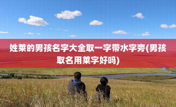 姓莱的男孩名字大全取一字带水字旁(男孩取名用莱字好吗)
