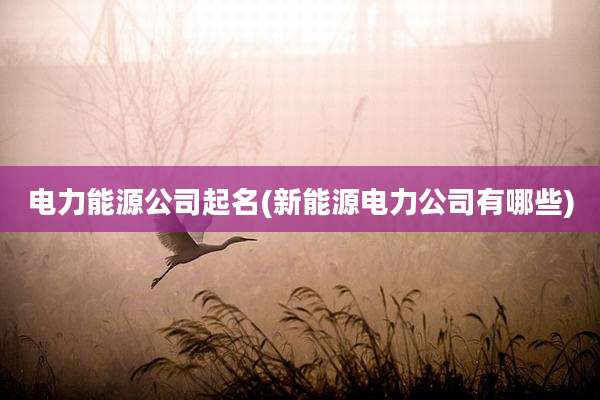 电力能源公司起名(新能源电力公司有哪些)