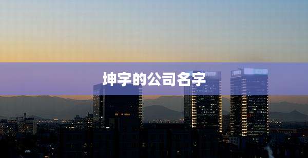 坤字的公司名字