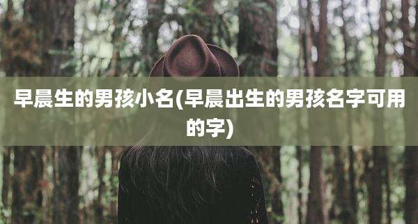 早晨生的男孩小名(早晨出生的男孩名字可用的字)