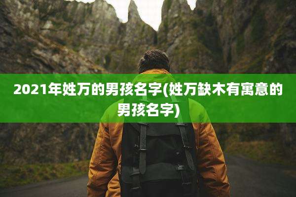 2021年姓万的男孩名字(姓万缺木有寓意的男孩名字)