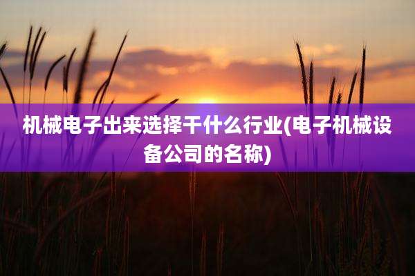 机械电子出来选择干什么行业(电子机械设备公司的名称)