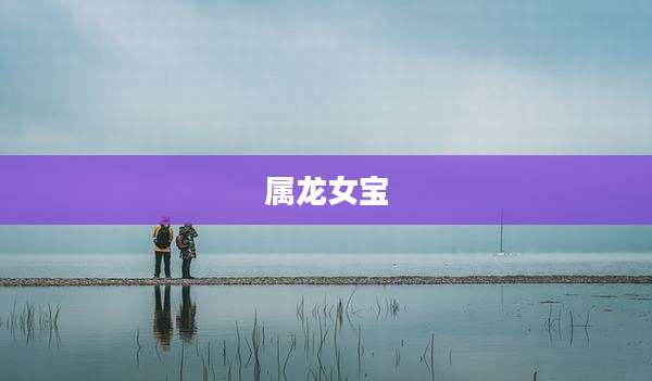 属龙女宝