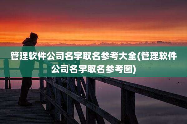管理软件公司名字取名参考大全(管理软件公司名字取名参考图)