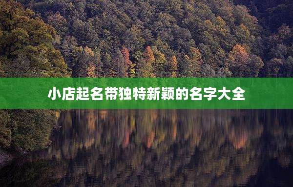 小店起名带独特新颖的名字大全