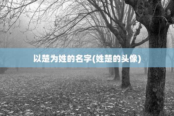 以楚为姓的名字(姓楚的头像)