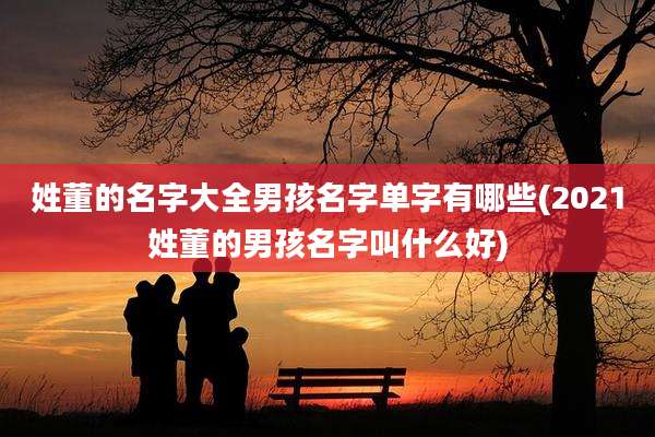 姓董的名字大全男孩名字单字有哪些(2021姓董的男孩名字叫什么好)