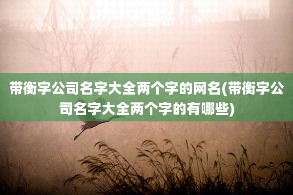 带衡字公司名字大全两个字的网名(带衡字公司名字大全两个字的有哪些)