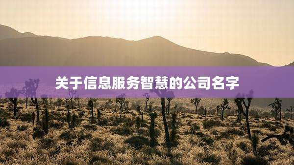关于信息服务智慧的公司名字