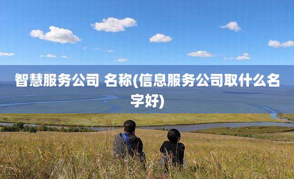 智慧服务公司 名称(信息服务公司取什么名字好)