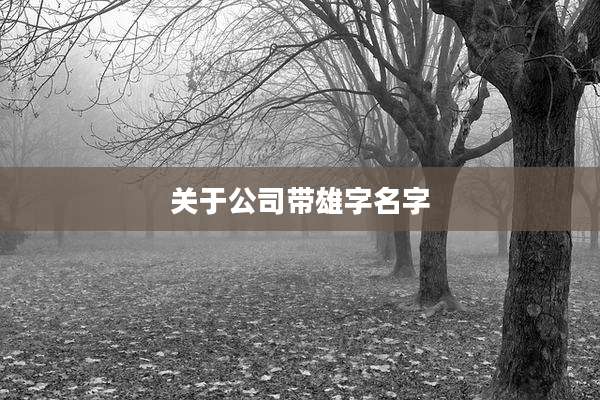 关于公司带雄字名字