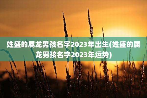 姓盛的属龙男孩名字2023年出生(姓盛的属龙男孩名字2023年运势)