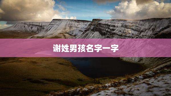 谢姓男孩名字一字