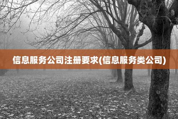 信息服务公司注册要求(信息服务类公司)