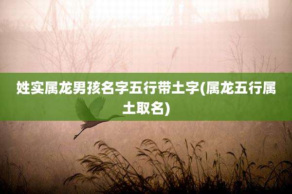 姓实属龙男孩名字五行带土字(属龙五行属土取名)