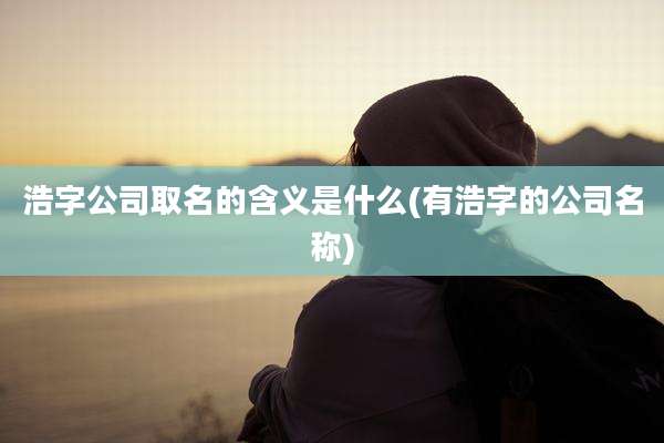 浩字公司取名的含义是什么(有浩字的公司名称)
