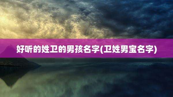 好听的姓卫的男孩名字(卫姓男宝名字)