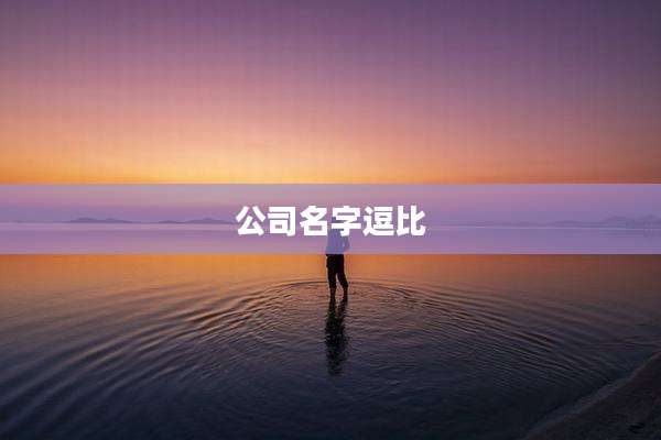 公司名字逗比
