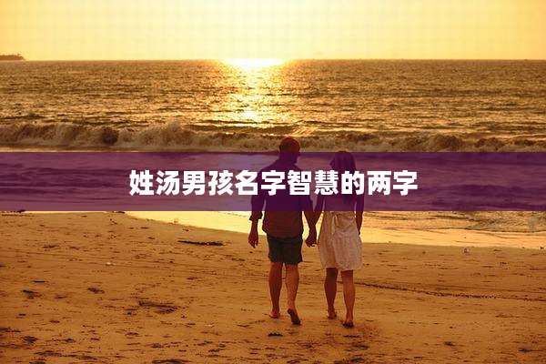 姓汤男孩名字智慧的两字