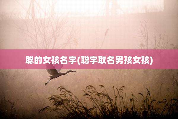 聪的女孩名字(聪字取名男孩女孩)