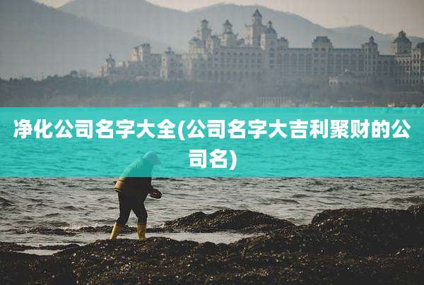 净化公司名字大全(公司名字大吉利聚财的公司名)