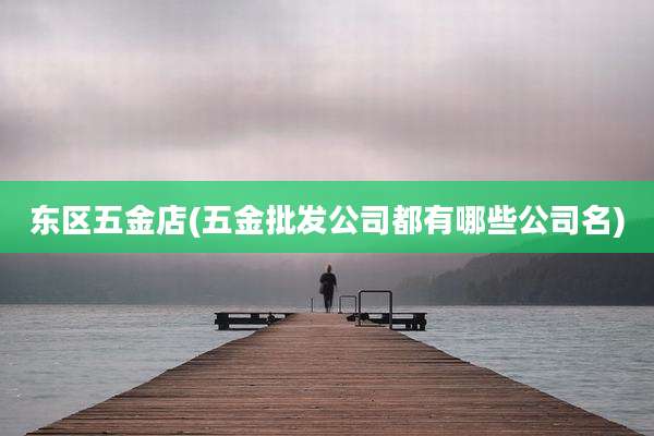 东区五金店(五金批发公司都有哪些公司名)